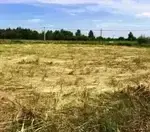 Как заключить договор купли-продажи земельного участка