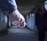 Парадигма взаимодействия уголовного права и криминологии (на примере криминологической теории насильственной преступности)