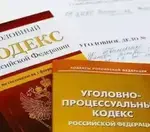 Проблемы теории уголовного процесса